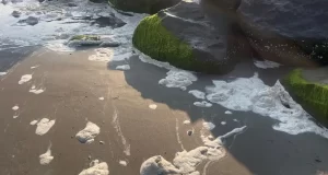 Reportan misteriosa espuma blanca en Playa Santa Ana de Boca del Río