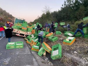 Tráiler cargado de aves se accidenta en la Banderilla–Perote; reportan rapiña en la zona