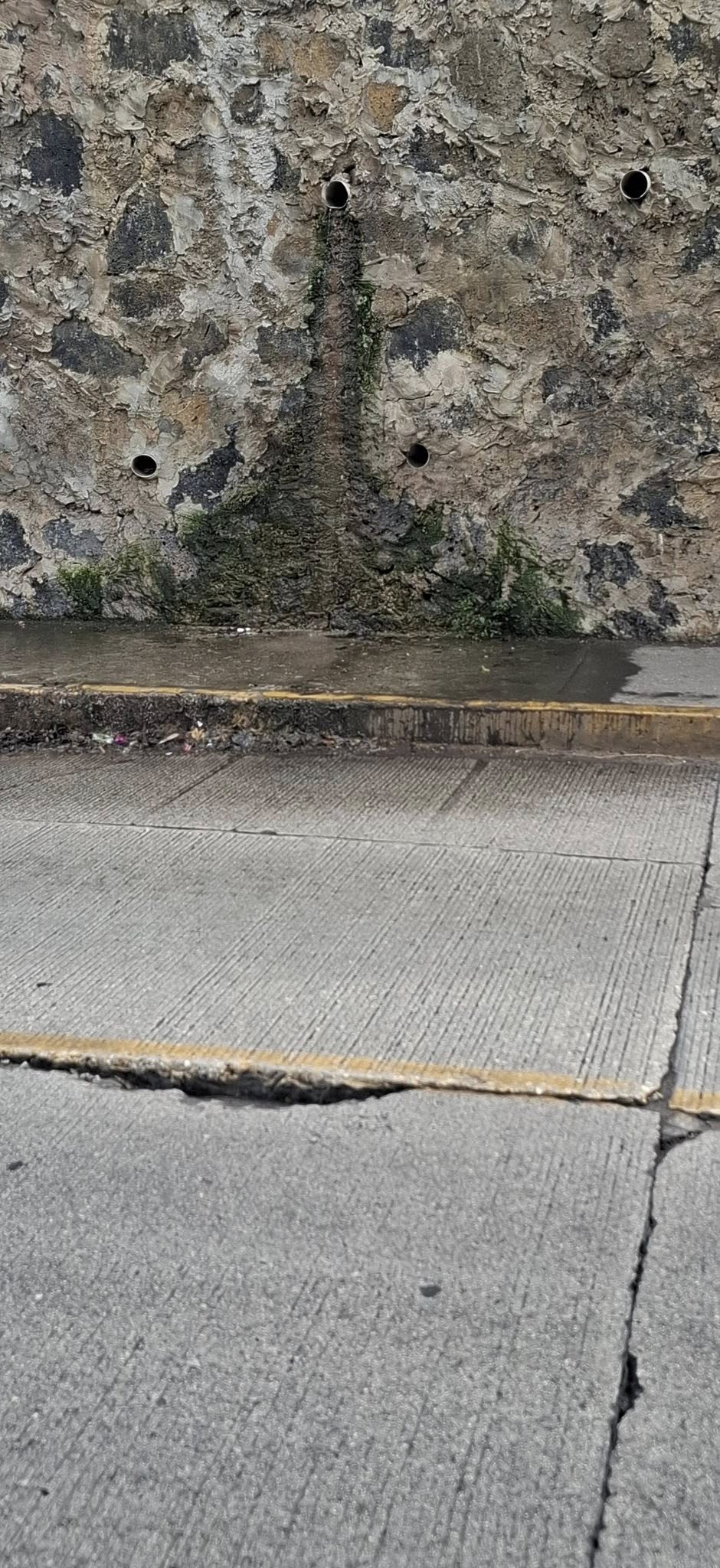 Descarga ilegal de aguas negras en centro de Xalapa
