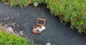 Hallan feto en arroyo de Coatzintla: Fiscalía inicia investigación