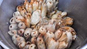 Alerta en Huauchinango: Niña de 10 años da positivo a fentanilo tras comer tamales