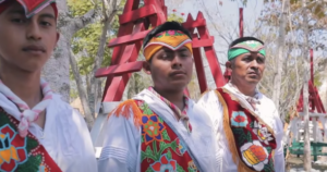 Rocío Nahle confirma cartelera de Cumbre Tajín 2026