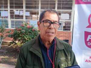 Xalapa recolecta 600 árboles navideños