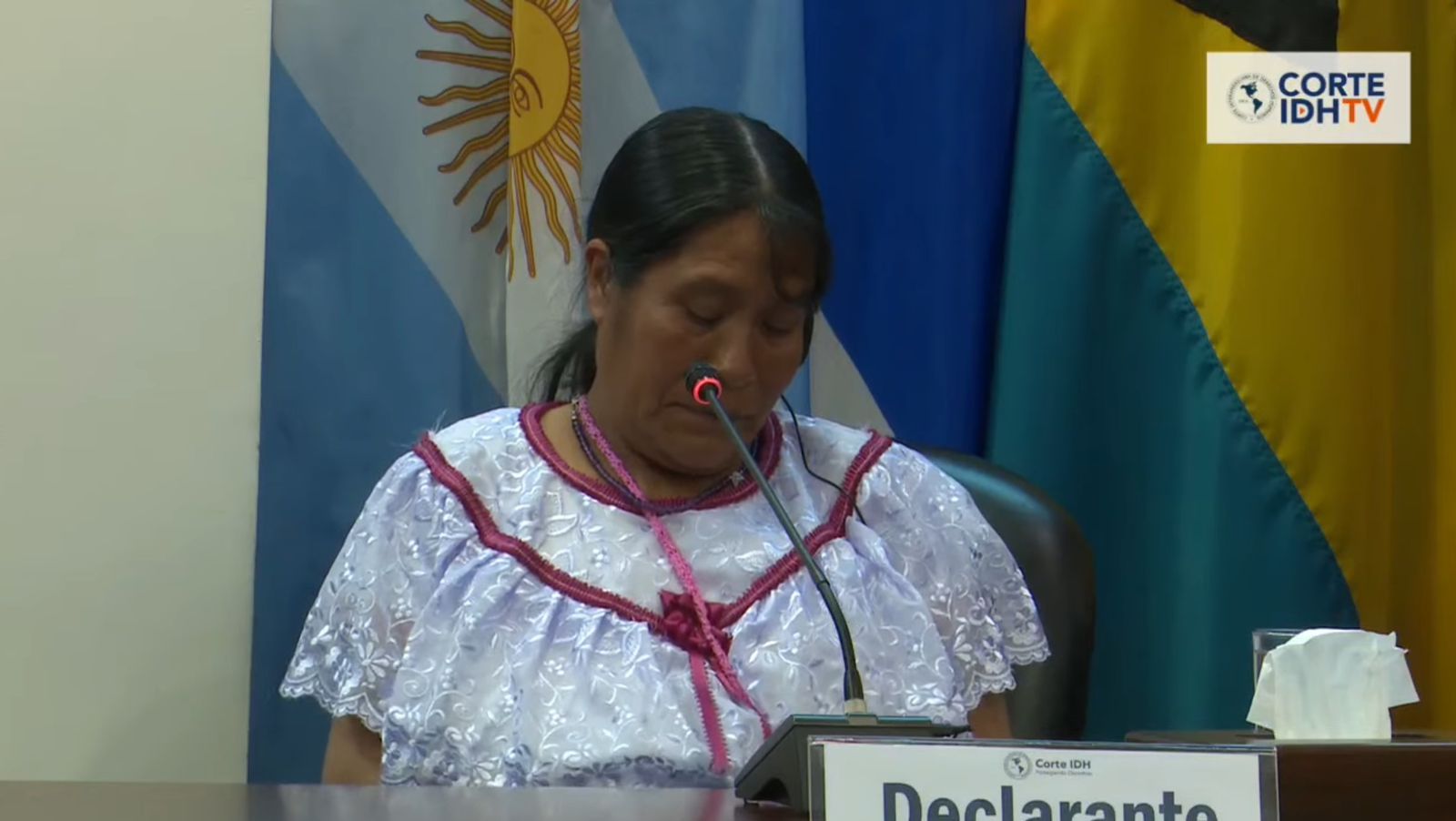 Caso Ernestina Ascencio Rosario, mujer náhuatl víctima de tortura sexual en 2007