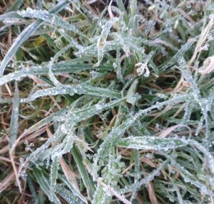Frente Frío Número 33 continúa azotando con bajas temperaturas en la zona montañosa de Veracruz