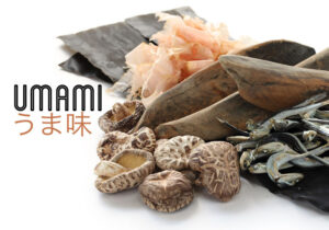 La Arquitectura Sensorial del Umami: El Rediseño de la Salud Global