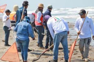 Sigue la limpieza en playas de Alvarado