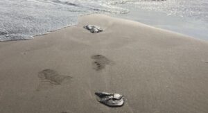 Chapopote llega a Playa Tortuga en Boca del Río