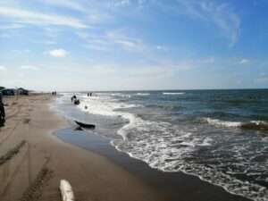 Alvarado desmiente cierre de playas