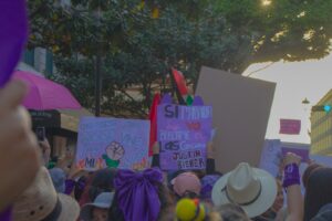 Rocío Nahle llama a la manifestación pacífica y al respeto mutuo de cara al 8M