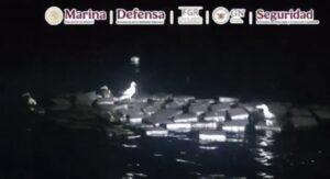 Fuerzas federales aseguran 2 toneladas de Cocaína en Acapulco