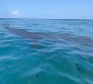 Derrame de hidrocarburo se extiende a las costas de Alvarado; pescadores se mantienen preocupados