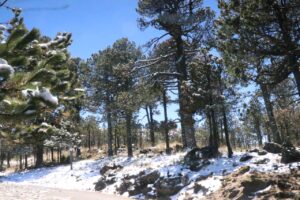 Registra el Cofre de Perote su cuarta nevada de la temporada; emiten recomendaciones