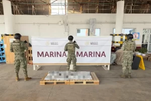 Marina asegura más de 200 kilos de droga ocultos en piedra laja en el Puerto de Veracruz