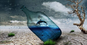 El efecto “Flow”: El secreto científico de la felicidad en el trabajo