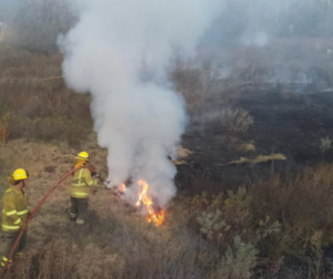 Aumenta riesgo de incendios en Veracruz