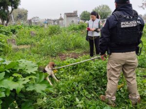 Hallan animales muertos en el Panteón Antiguo Xalapeño; activistas denuncian posibles ataques