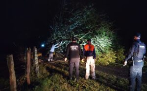 Tornado causa destrozos en localidad en Tierra Blanca