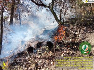 Incendio forestal moviliza a brigadistas en Perote; avance de control al 50%
