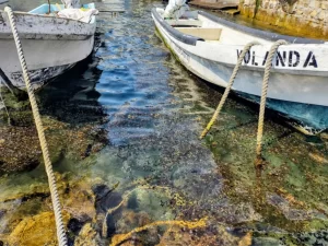 Anuncian apoyo de 15 mil pesos a pescadores por la contaminación en el Golfo de México