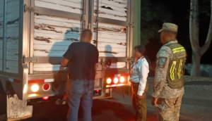 Operativo contra tráfico de vida silvestre en Veracruz