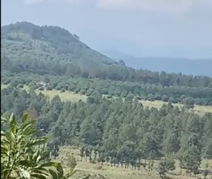 Balacera sorprende a agricultores en Michoacán