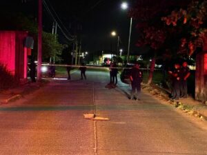 Una mujer pierde la vida en ataque armado