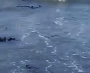 Turistas reportan chapopote en playas de Costa Esmeralda Veracruz + (Video)