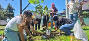 Colectivos reforestan en Xalapa en memoria de sus seres queridos