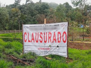 Profepa frena cambio ilegal de uso de suelo en Zacatlán, Puebla