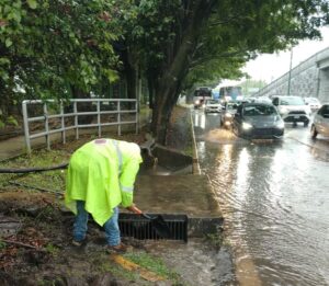 Lluvias en Xalapa dejan caída de árboles y encharcamientos