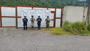 Aseguran hidrocarburo y droga tras operativos en Veracruz