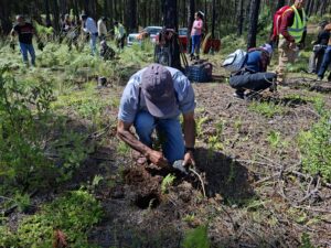 Las Vigas se suma a jornada nacional de reforestación