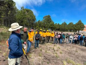 Reforestan el Cofre de Perote con 2 mil 500 árboles nativos
