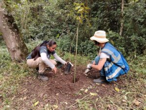 Refuerzan acciones de restauración forestal en Áreas Naturales Protegidas de Veracruz