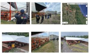 Cateo en Edomex permite recuperar ganado robado en Veracruz