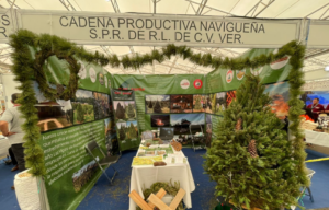 Veracruz destaca en la Feria Nacional Forestal por el 25 aniversario de CONAFOR