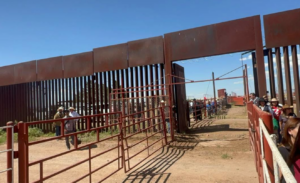 Sonora reanuda exportación de ganado a EU