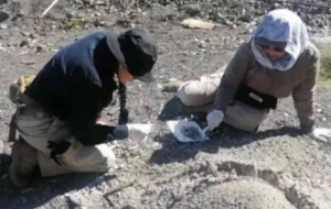Fiscalía de Michoacán desconoce el supuesto hallazgo de dientes