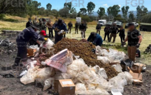 FGR incinera más de 565 kilos de droga