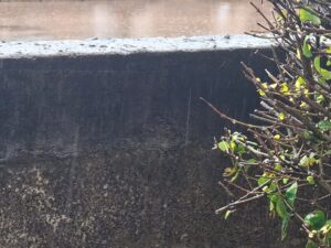 Prevén lluvias y tormentas en Veracruz