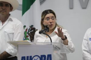 PAN Veracruz habilita plataforma para reportar desabasto de medicamentos