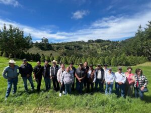 Las Vigas se prepara hasta con 20 mil árboles naturales de Navidad